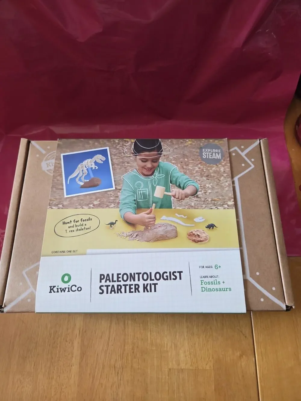 KiwiCo Paleontologist Starter Kit Dinosaur Fossil Dig Kit Toy Kids Educational